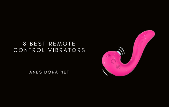 8 Best Remote Control Vibrators  anesidora