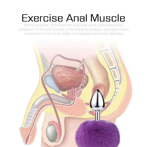 Anal Plug Rabbit Tail Stainless Steel
