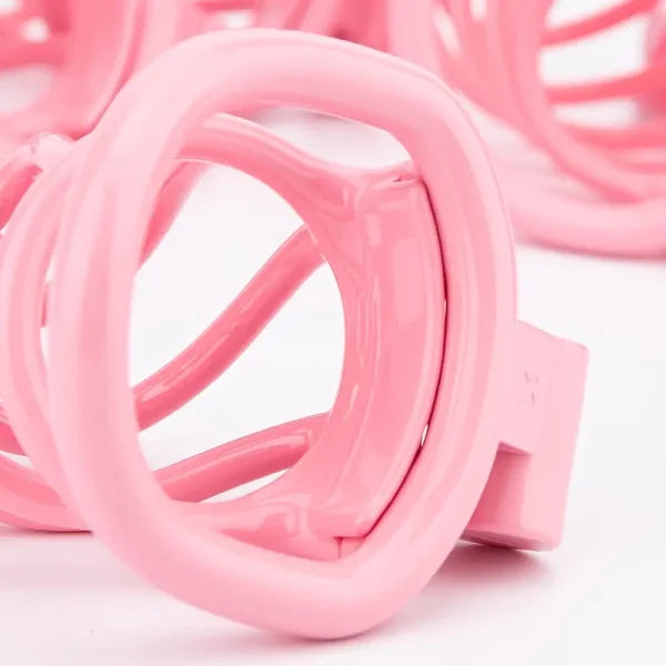 Anesidora Pink Chastity Cage