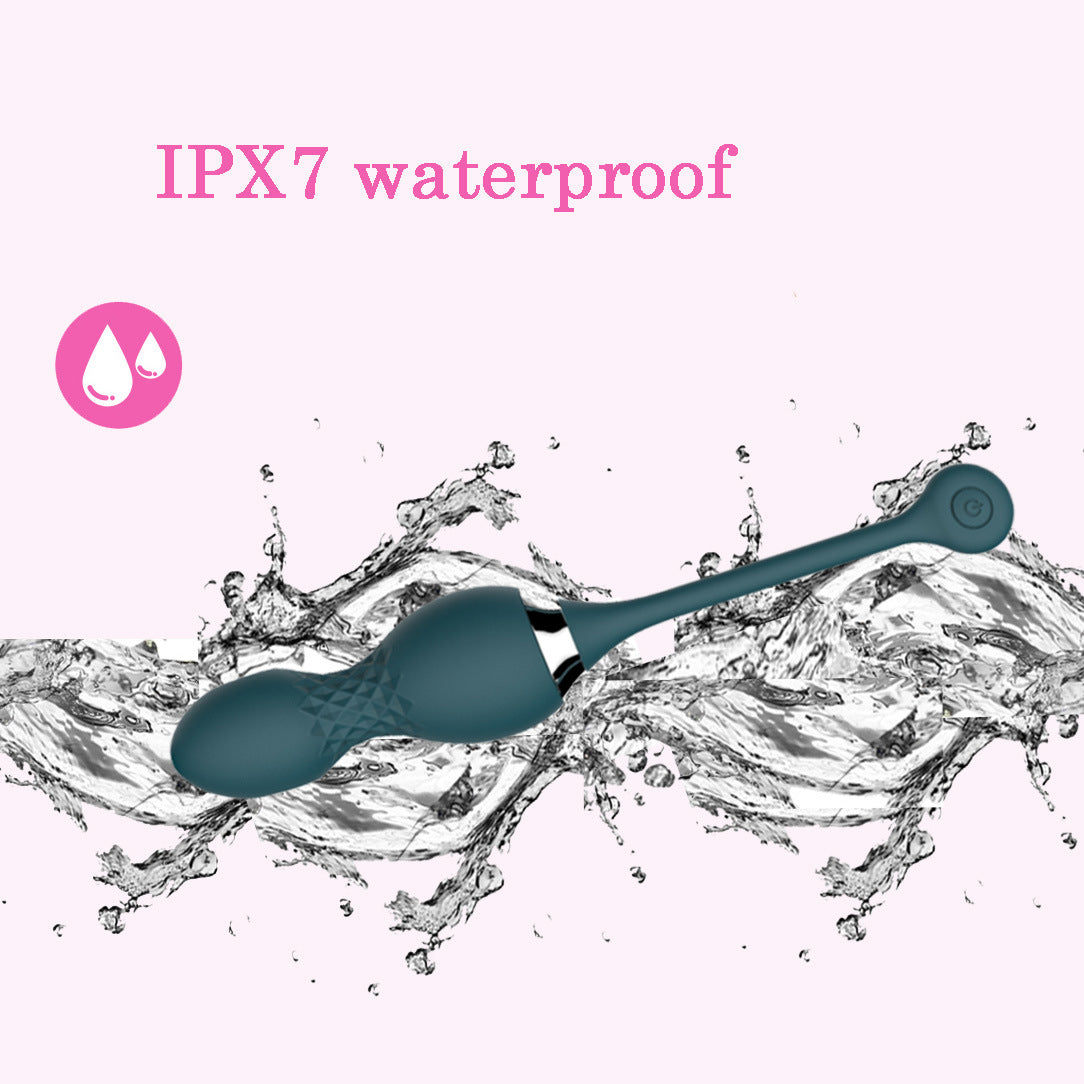 Anesidora - Rotating Clitoral Vibrator & Prostate Massager