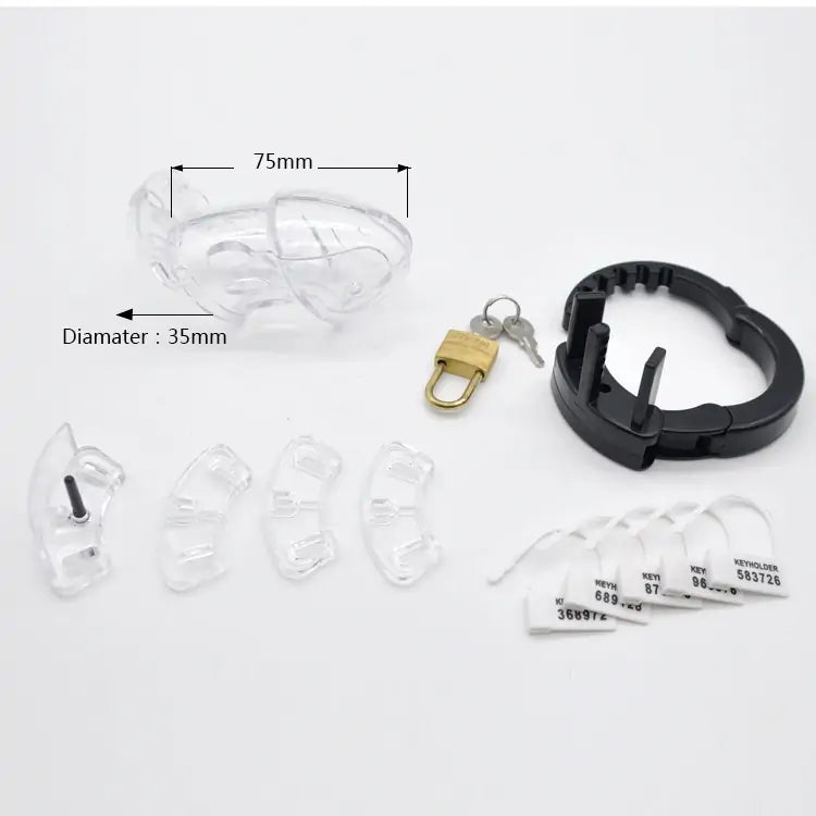 CB-6000S Chastity Cage with Lock