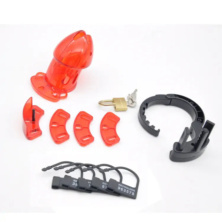 CB-6000S Chastity Cage with Lock