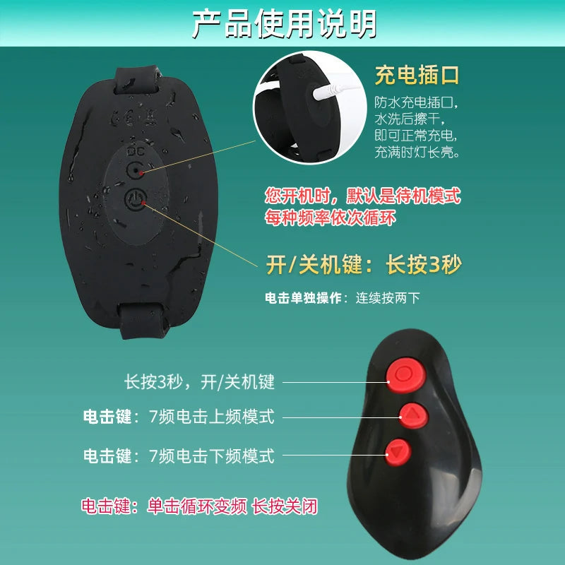 Remote-Controlled Wireless Electric Shock Gag Ball