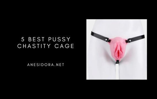 5 Best Pussy Chastity Cage