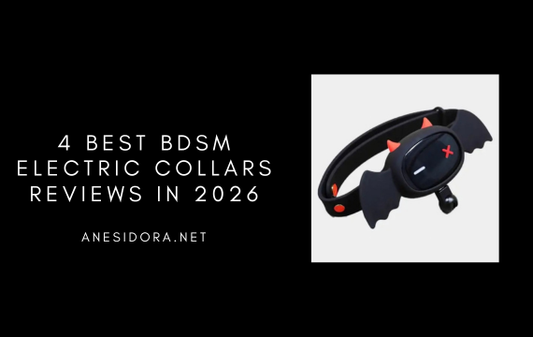 4 Best BDSM Electric Collars Reviews in 2026