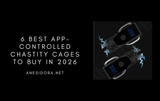 6 Best App-Controlled Chastity Cages to Buy in 2026