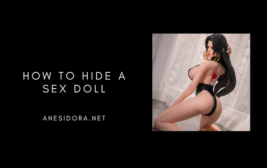 How to Hide a Sex Doll