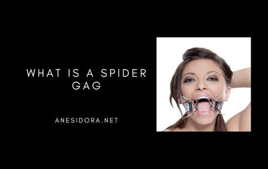 What Is a Spider Gag? How It Differs From a Ring Gag？