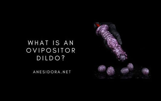 What Is an Ovipositor Dildo? – A Beginner's Guide