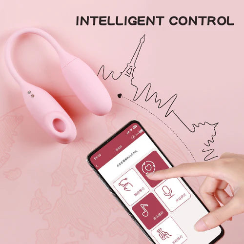 Magic Suitcase Suction Vibration Clitoral Stimulator