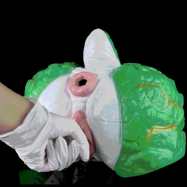 YaoXiJi Dragon Fantasy Stroker – Realistic Silicone Dragon Male Masturbator