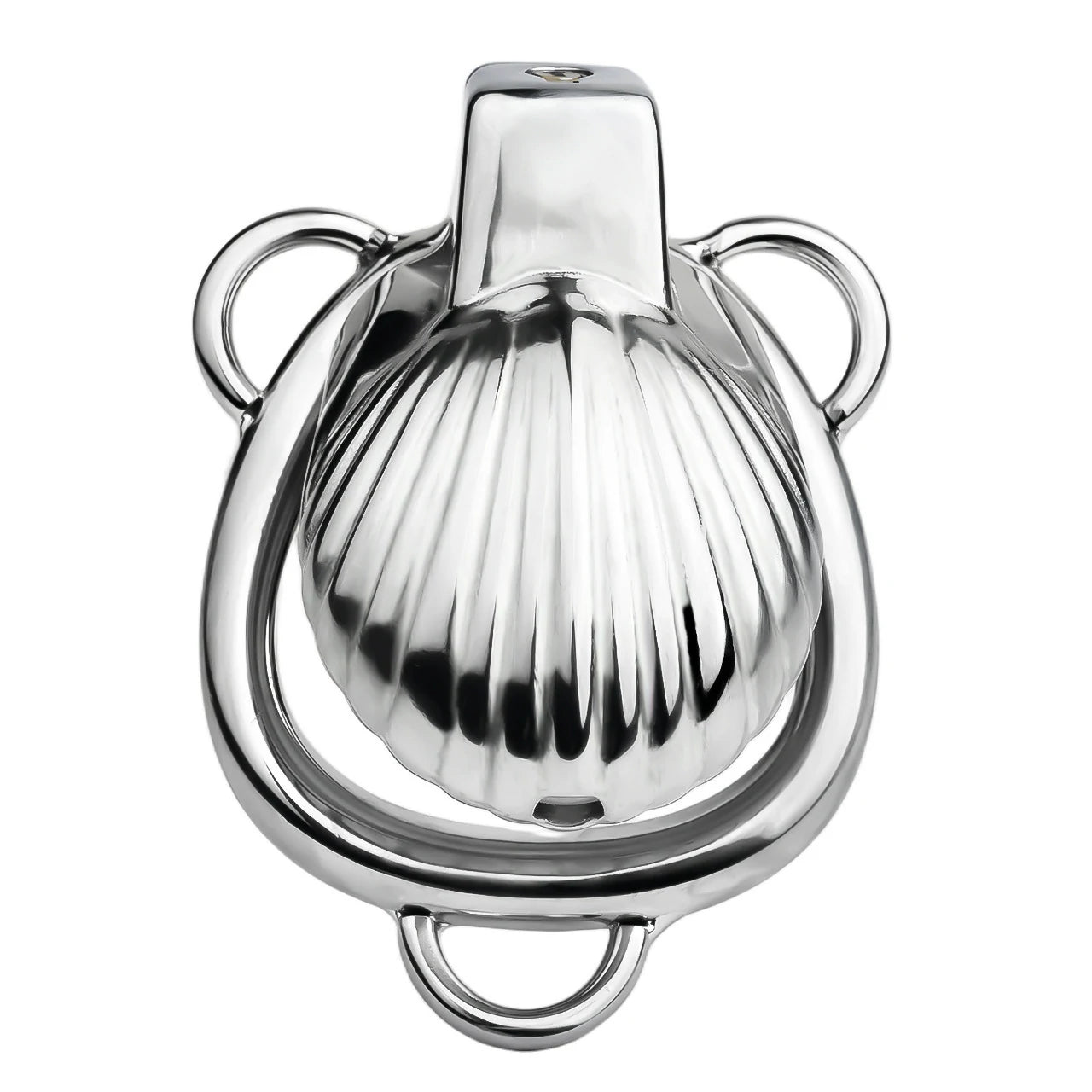 FRRK Metal Seashell Shape Chastity Lock (Optional Ring Sizes)