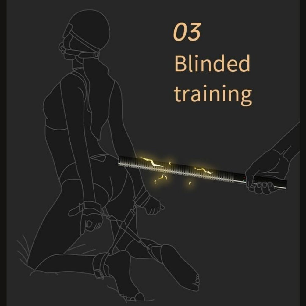 Fantasy Electric Shock Leather Paddle - Submissive Electrosex BDSM Bondage Kinky Sex Toys