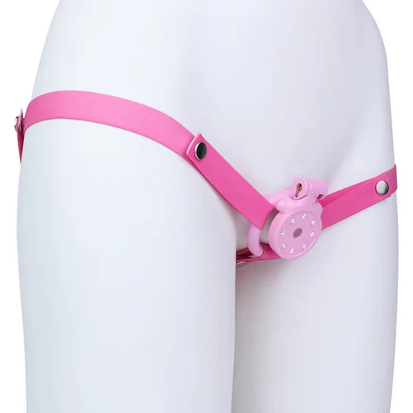Line of Blocked Desire – Men's Sissy Orgasm Denial Chastity Cage