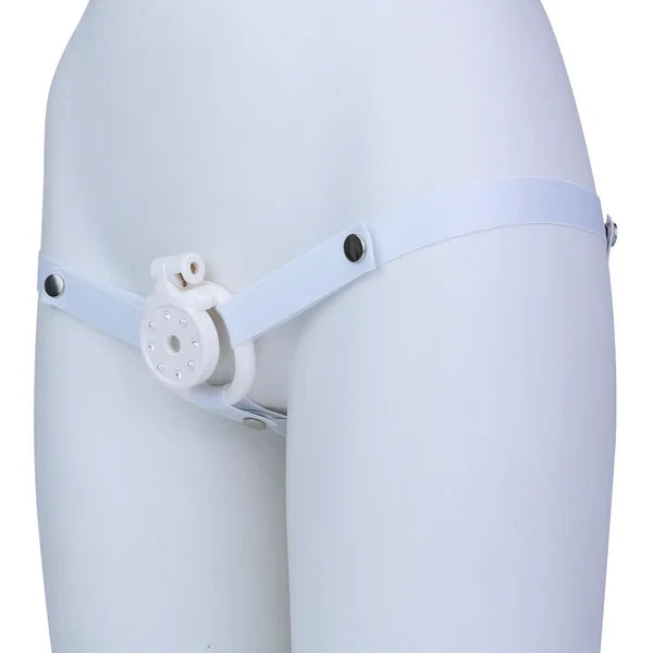 Line of Blocked Desire – Men's Sissy Orgasm Denial Chastity Cage