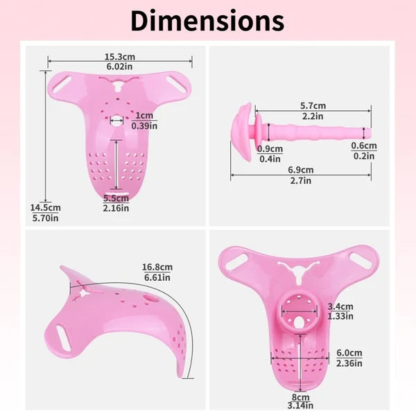 Line of Blocked Desire – Men's Sissy Orgasm Denial Chastity Cage