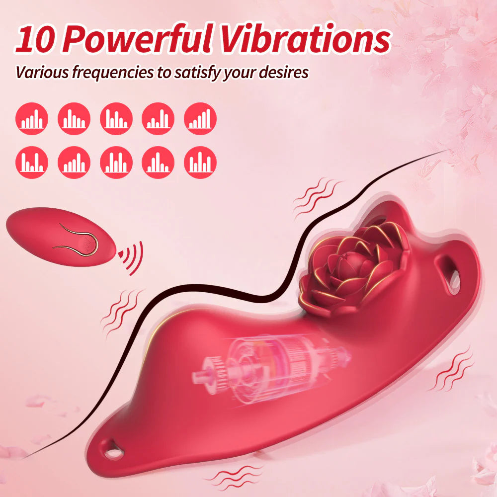 Anesidora Public Vibrator Rose Design with Remote
