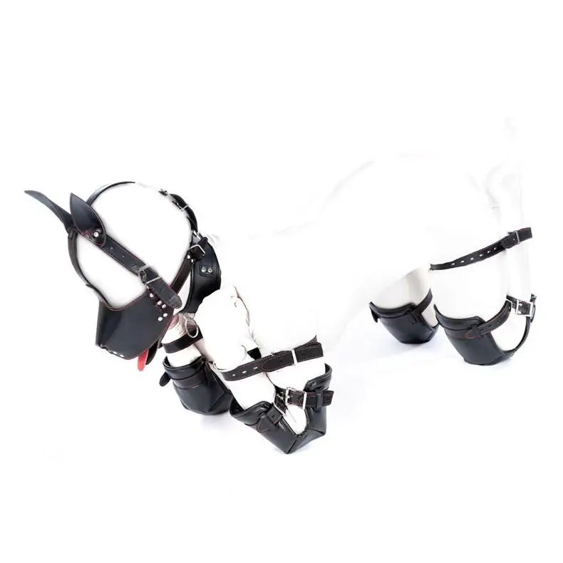 BDSM Dog Roleplay Bondage Suit