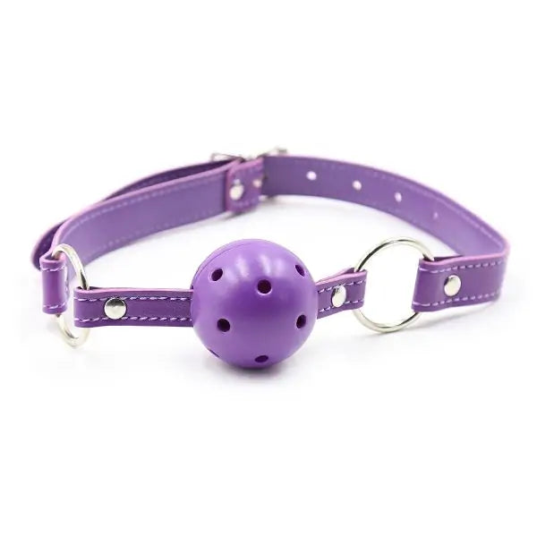 Blue Ball Gag - Adjustable Breathable Hollow Design