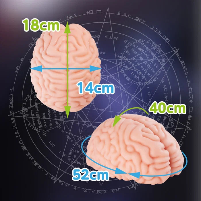Brain Fuck Hentai Male Masturbator