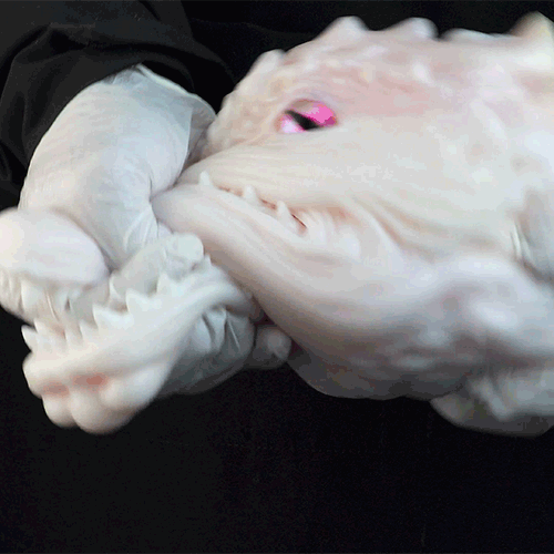 White Dragon Fantasy Torso Sex Doll – Male Blowjob Silicone Pocket Pussy for Interspecies Play