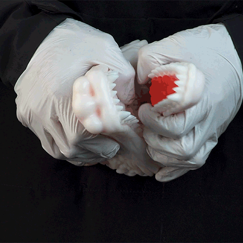 White Dragon Fantasy Torso Sex Doll – Male Blowjob Silicone Pocket Pussy for Interspecies Play