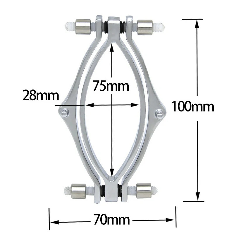 Electro-Stimulation Labia Clamps – BDSM E-Stim Set