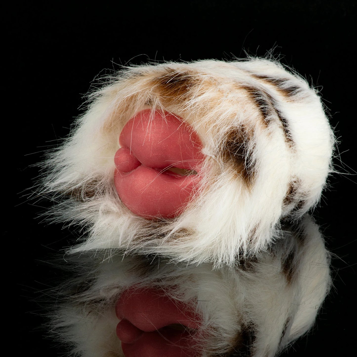 Fantasy Fluffy Dalmatian Dog Stroker