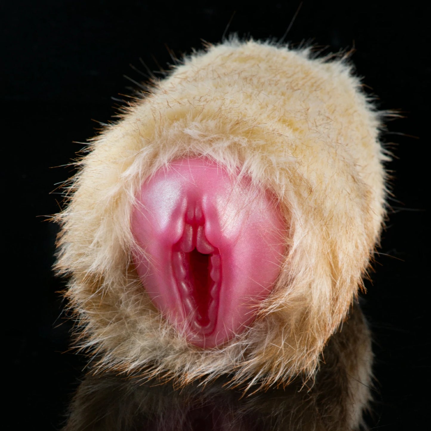 Fantasy Fluffy Fox Stroker — Detachable Plush