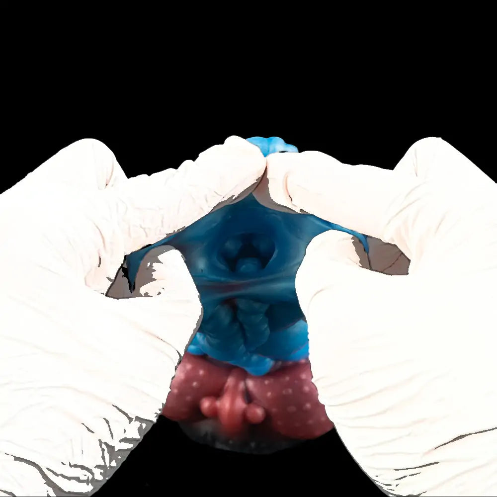 Fantasy Tiger Tongue Pocket Pussy