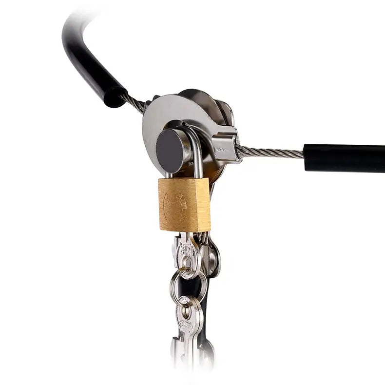 Female Chastity Belt with Plug