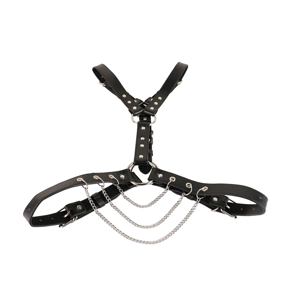 Full Body Harness with Crotch Cock Restraint