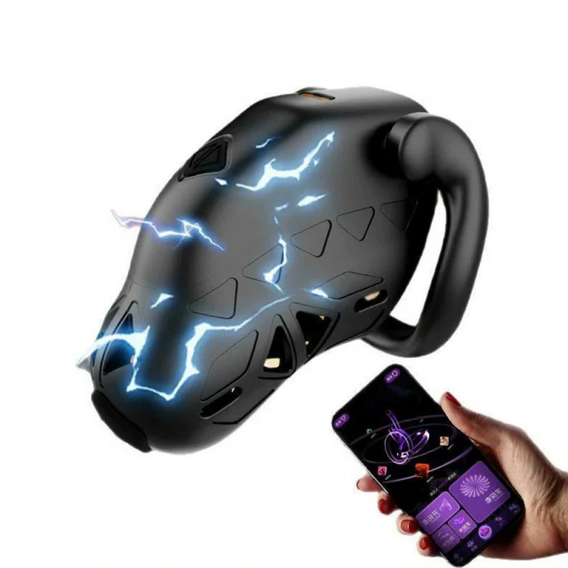 LOCKINK Electric Shock Chastity Cage with App