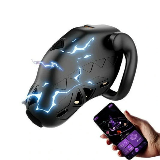 LOCKINK Electric Shock Chastity Cage with App