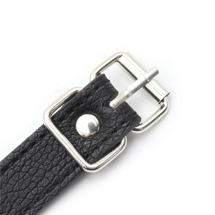 Linked Ball Gag – Adjustable Leather Couple Gag