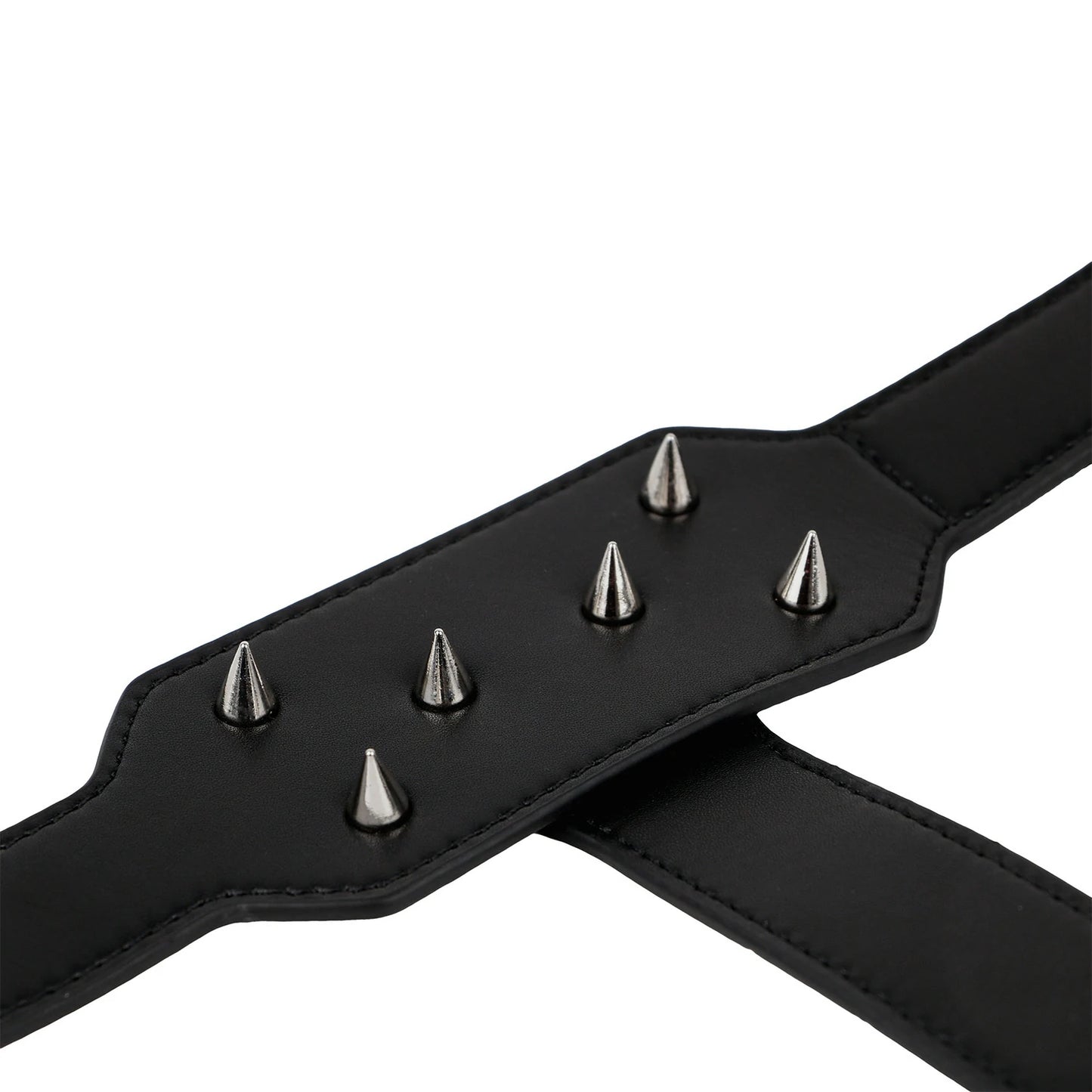 Anesidora Self Punishment Spike Harness Set