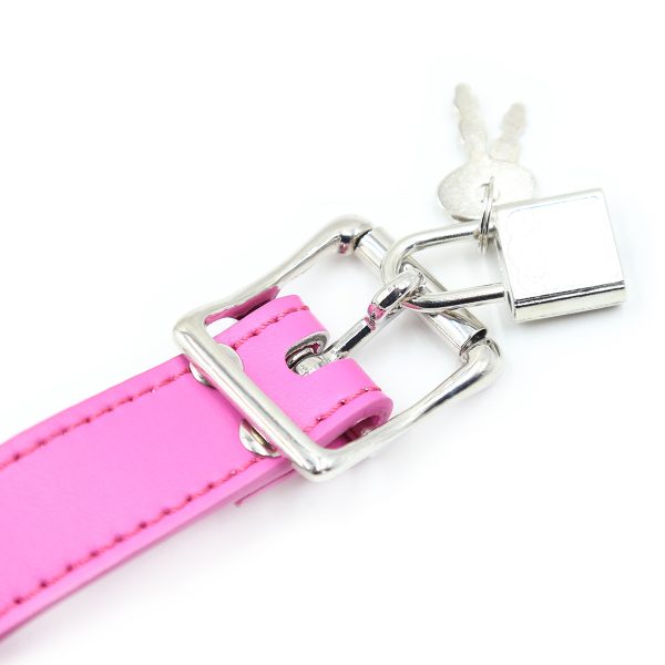 Mask Dildo Gag Harness with Lock