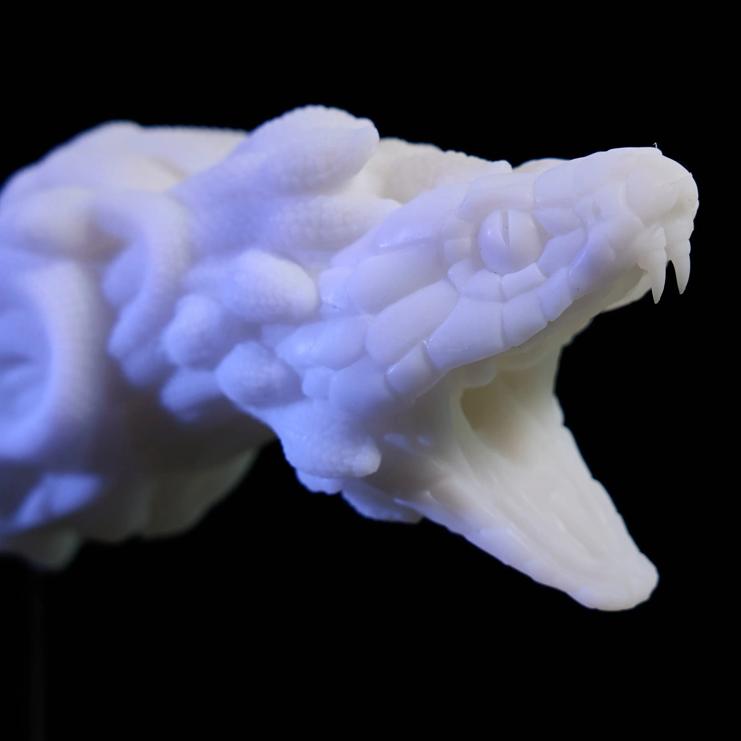 Medusa Pocket Pussy – Dual-Ended Stroker