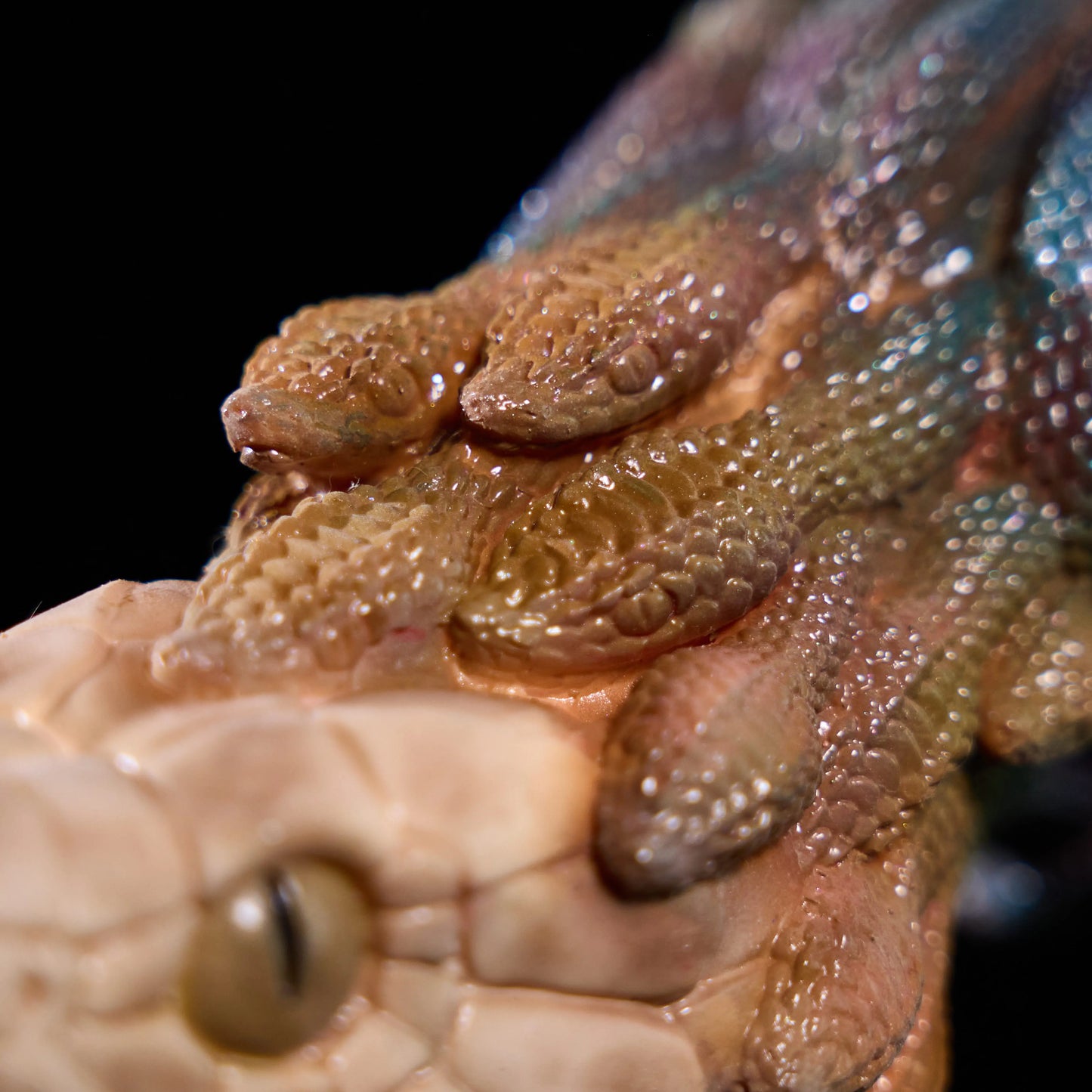 Medusa Pocket Pussy – Dual-Ended Stroker