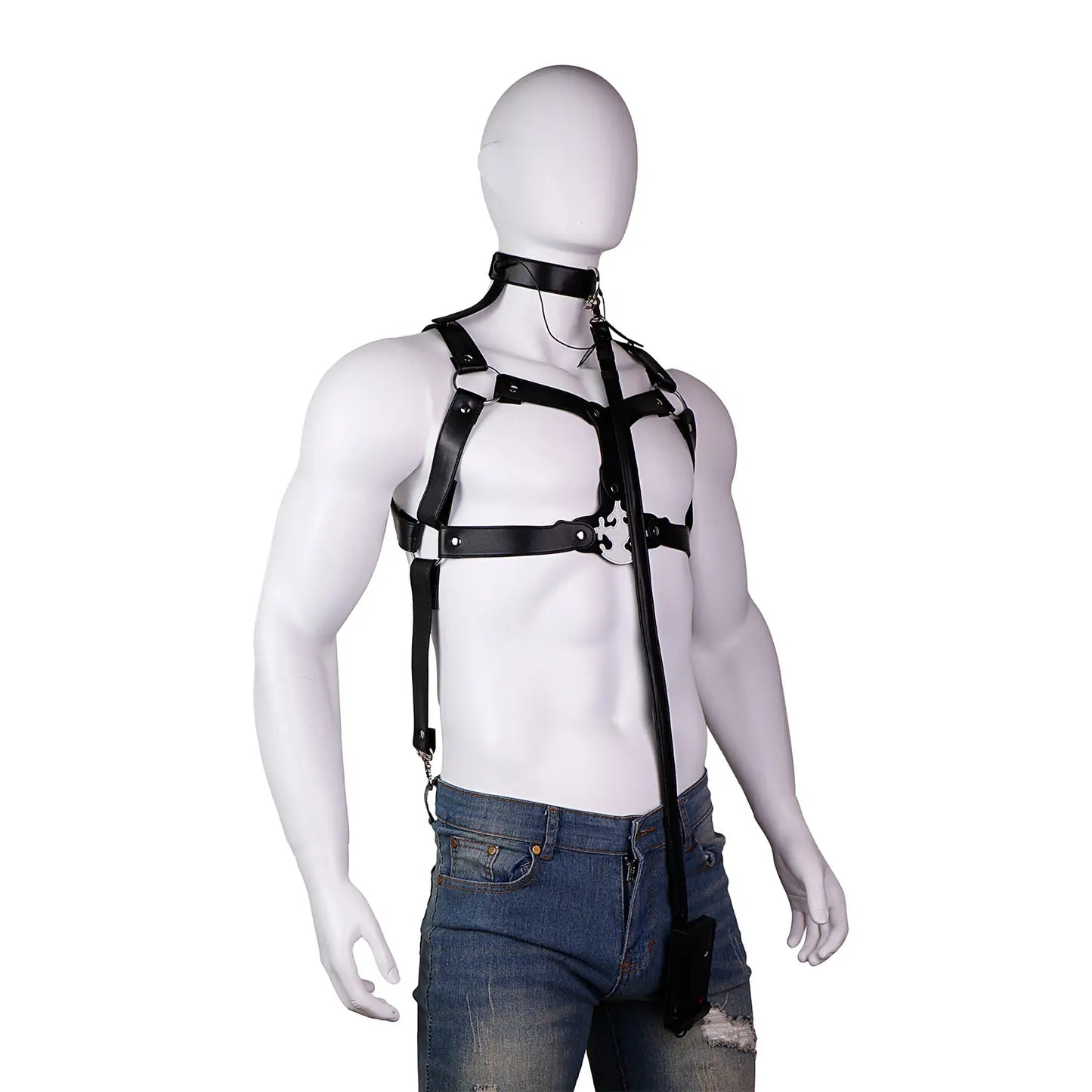 Multi-Point BDSM Electric Pulse Harness