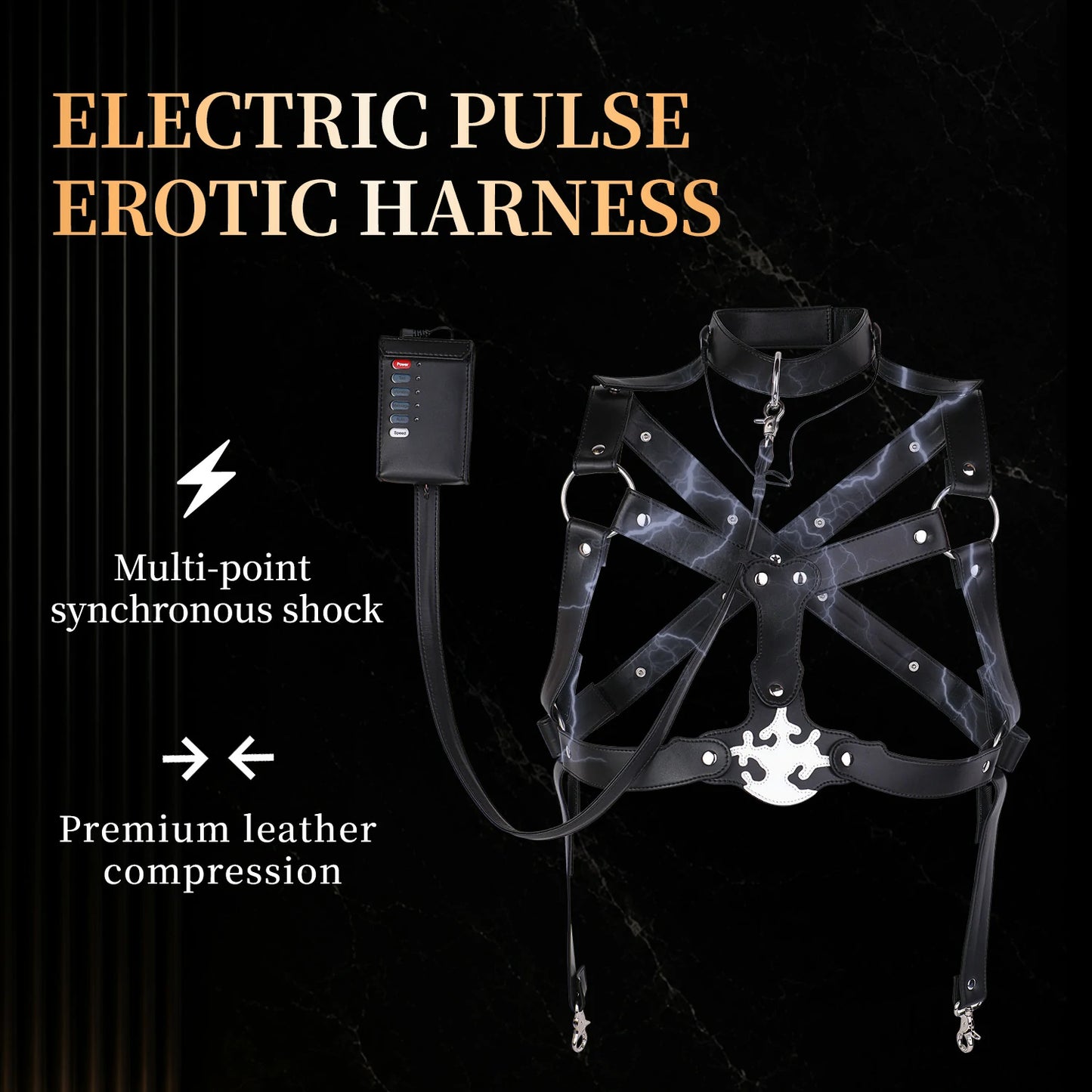 Multi-Point BDSM Electric Pulse Harness