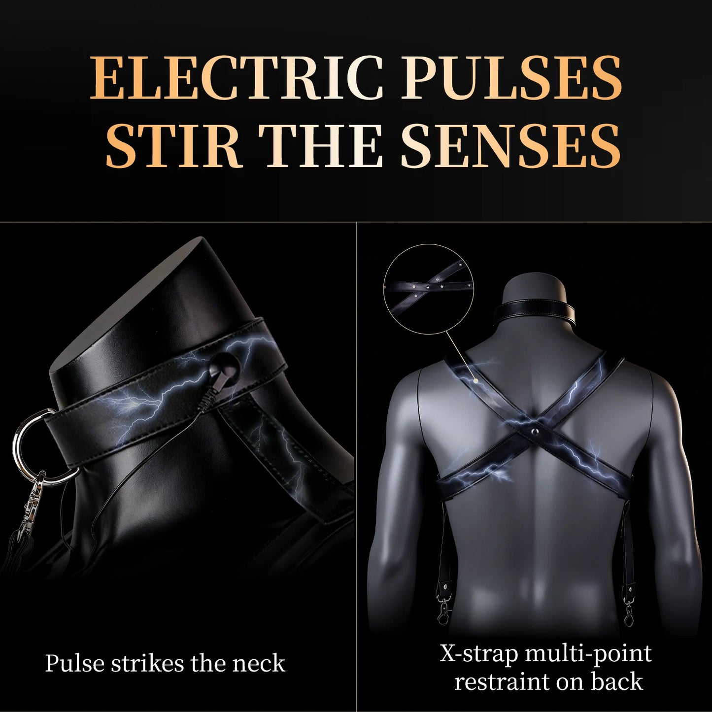 Multi-Point BDSM Electric Pulse Harness