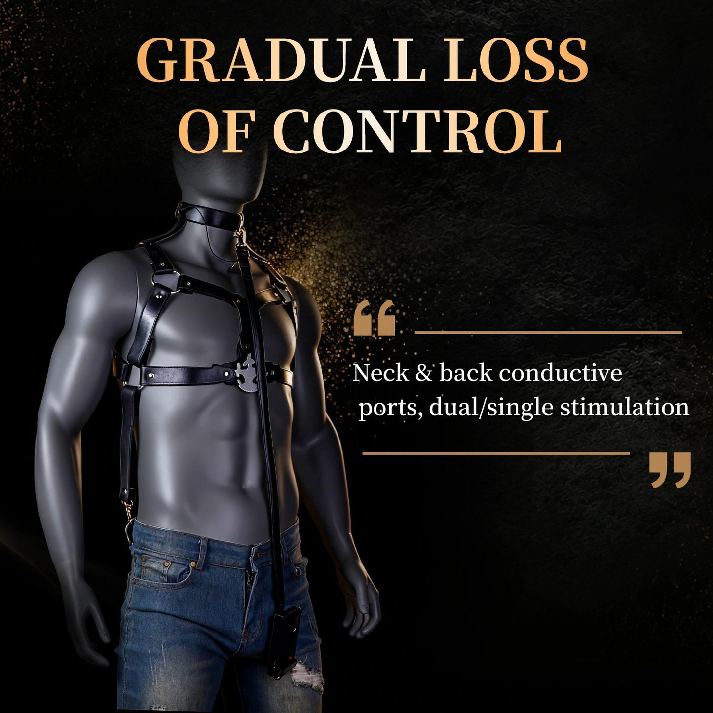 Multi-Point BDSM Electric Pulse Harness