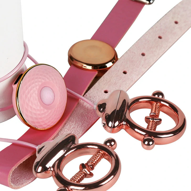 Vibrating Spring Nipple Clamps With Collar And Remote Control