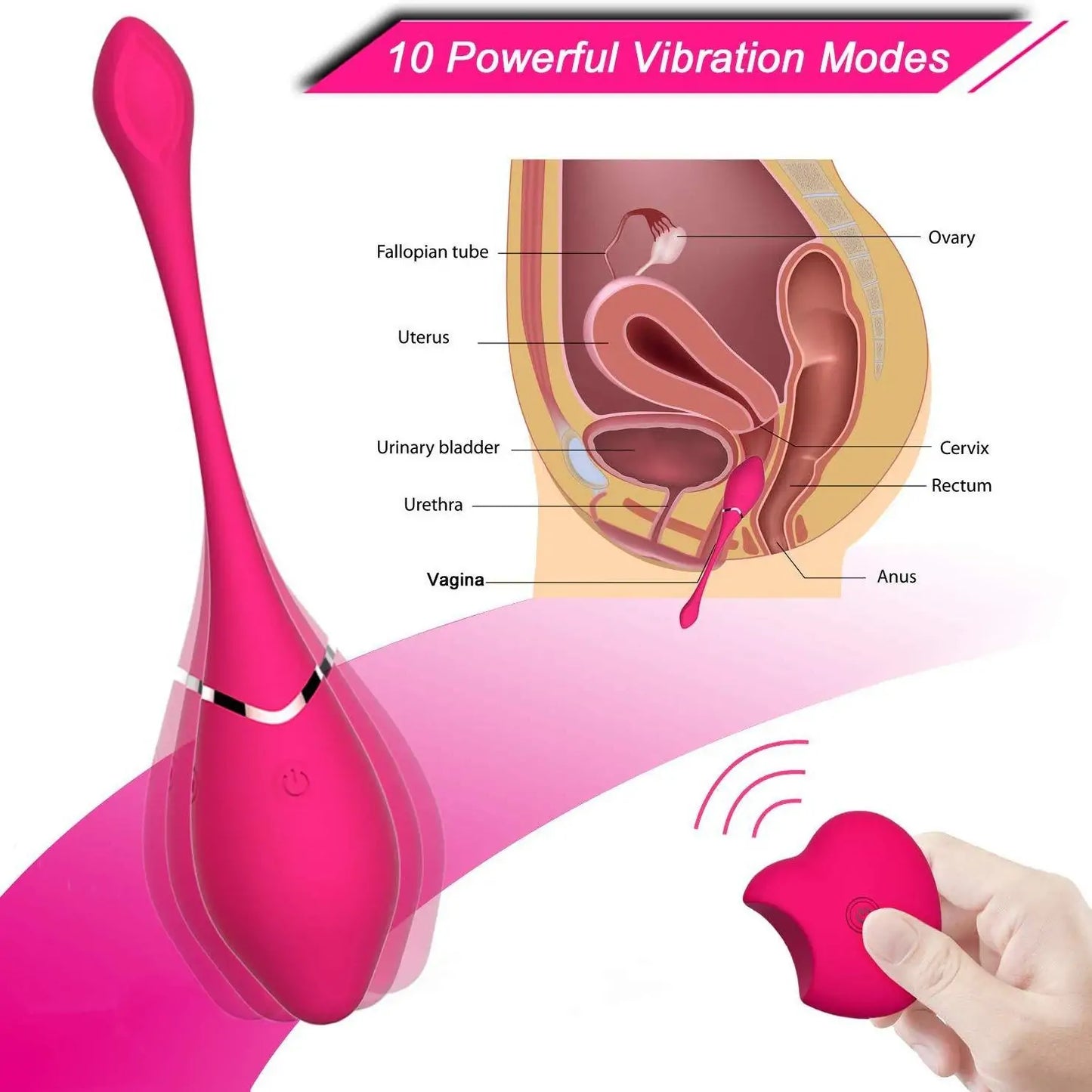 Our Erotic Journey - Ovum Vibration