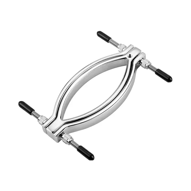 Pussy Leash - Steel Labia Spread Clamp Set
