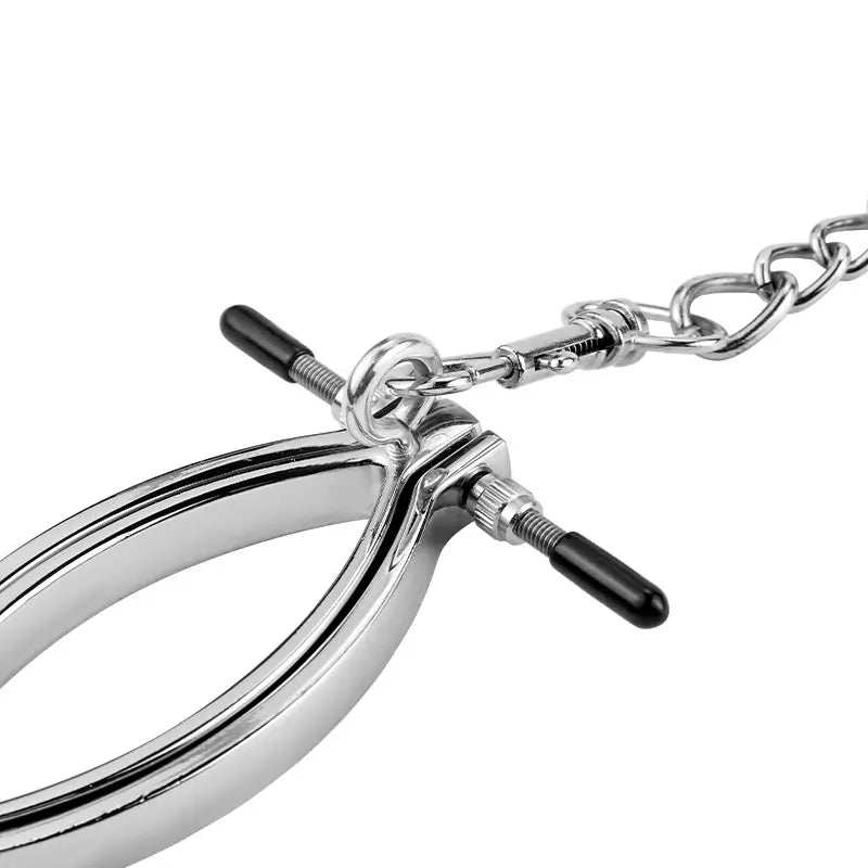 Pussy Leash - Steel Labia Spread Clamp Set