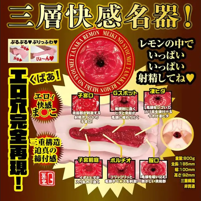 Tanaka Remon Meiki 13 - Realistic Vaginas