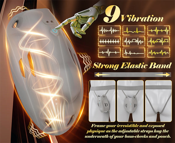 Wearable Vibrating Chastity Cage with App