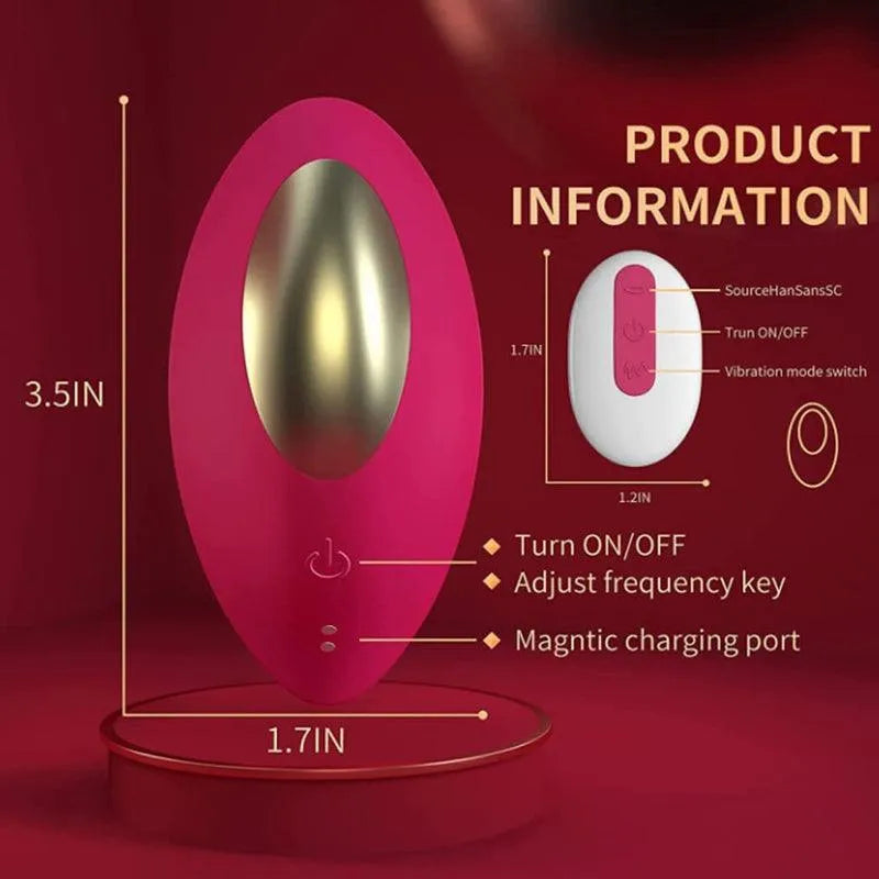 App Controlled Vibrating Underwear